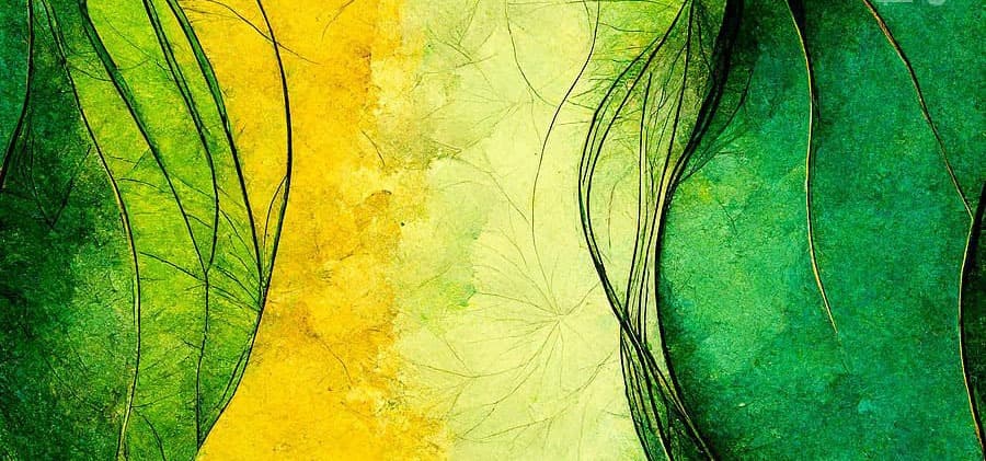 স্বাধীনতার স্বরূপ